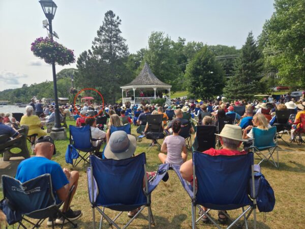 Magnifique ambiance de concert au parc Dreamland cet été 
